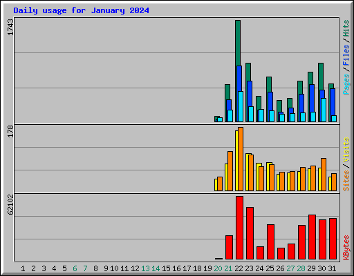 Daily usage for January 2024