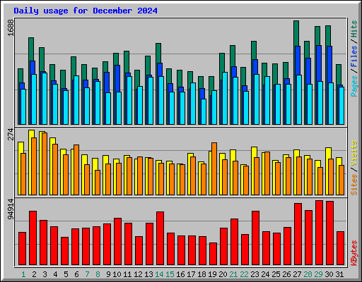 Daily usage for December 2024