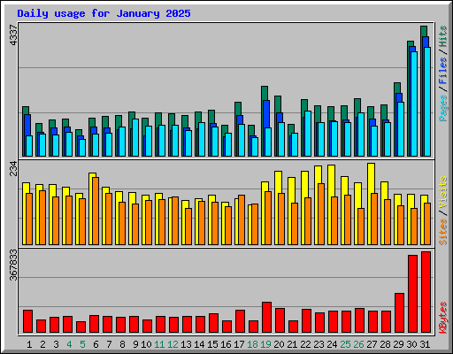 Daily usage for January 2025