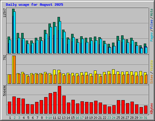 Daily usage for August 2025