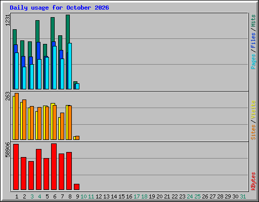 Daily usage for October 2026