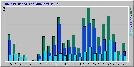 Hourly usage for January 2024