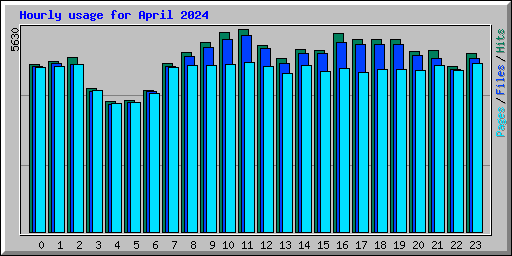 Hourly usage for April 2024