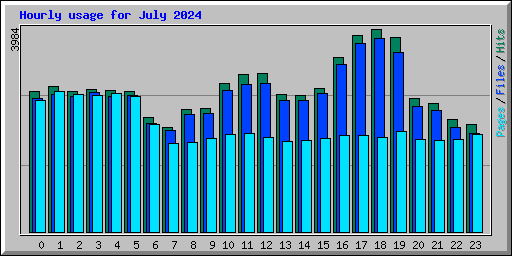 Hourly usage for July 2024