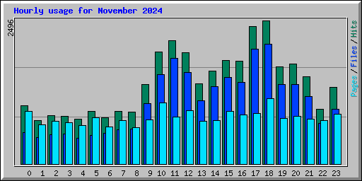 Hourly usage for November 2024