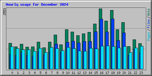 Hourly usage for December 2024