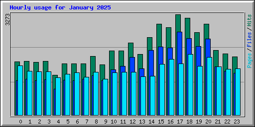 Hourly usage for January 2025