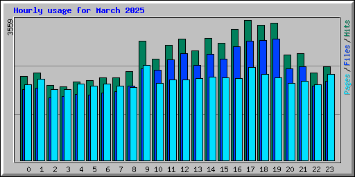 Hourly usage for March 2025