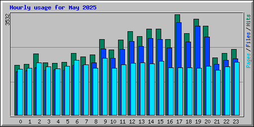 Hourly usage for May 2025
