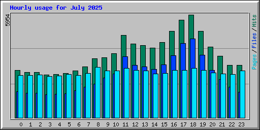 Hourly usage for July 2025