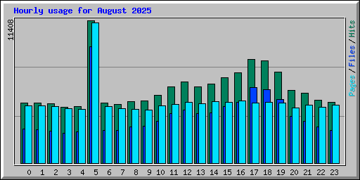 Hourly usage for August 2025