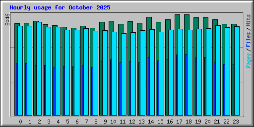 Hourly usage for October 2025