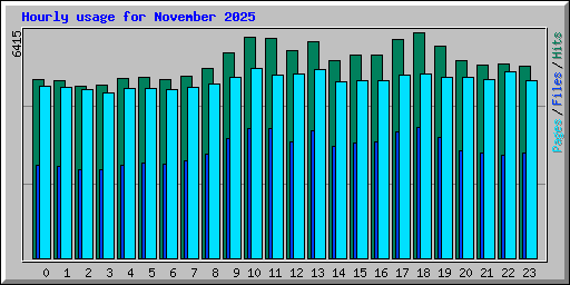 Hourly usage for November 2025