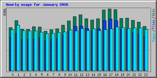 Hourly usage for January 2026