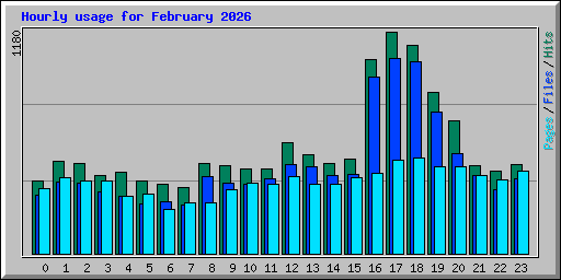 Hourly usage for February 2026