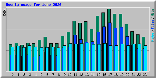 Hourly usage for June 2026