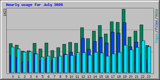 Hourly usage for July 2026