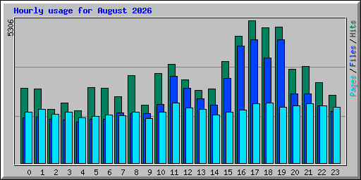 Hourly usage for August 2026